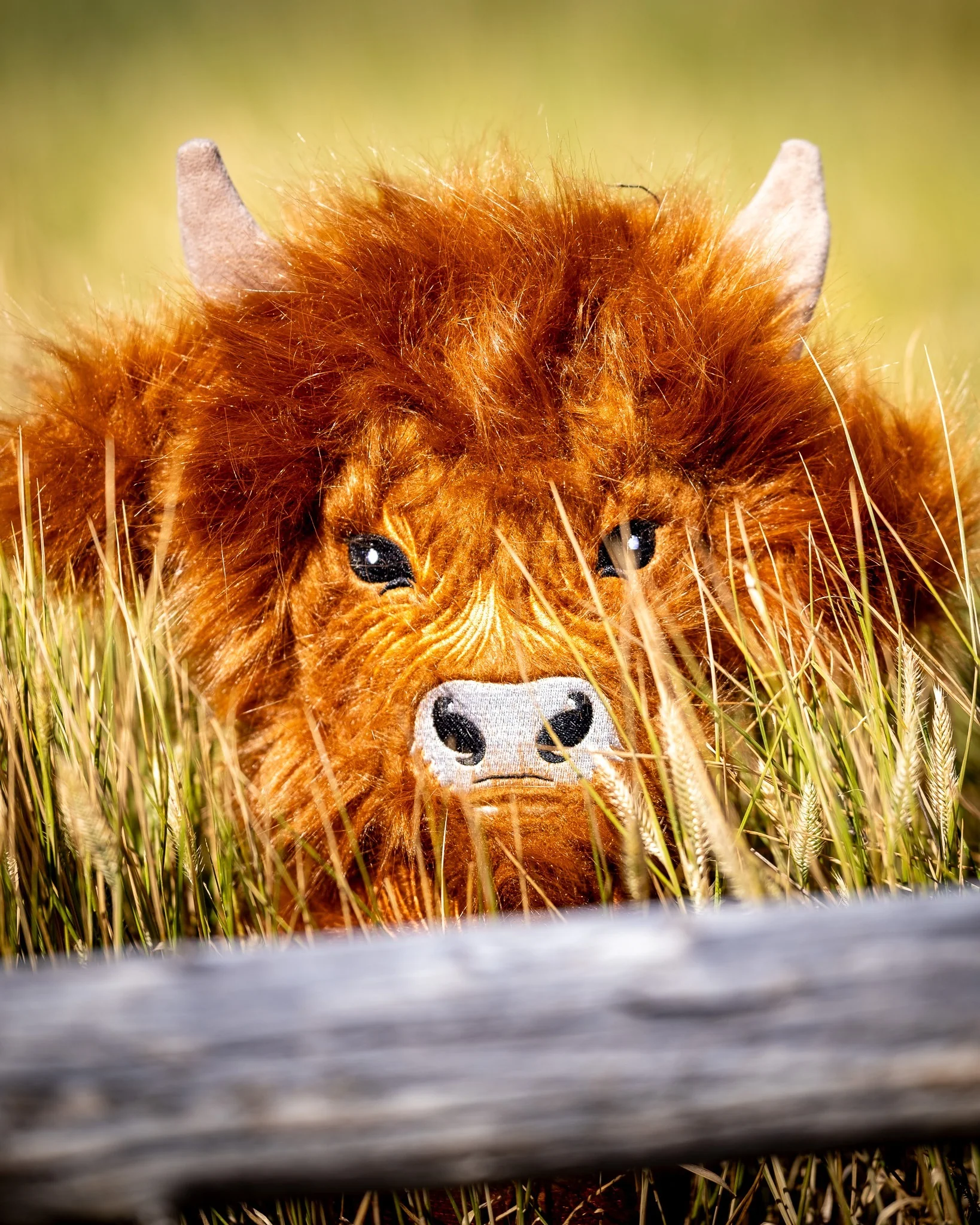 Highland Cow - Driver Cover - Image 3