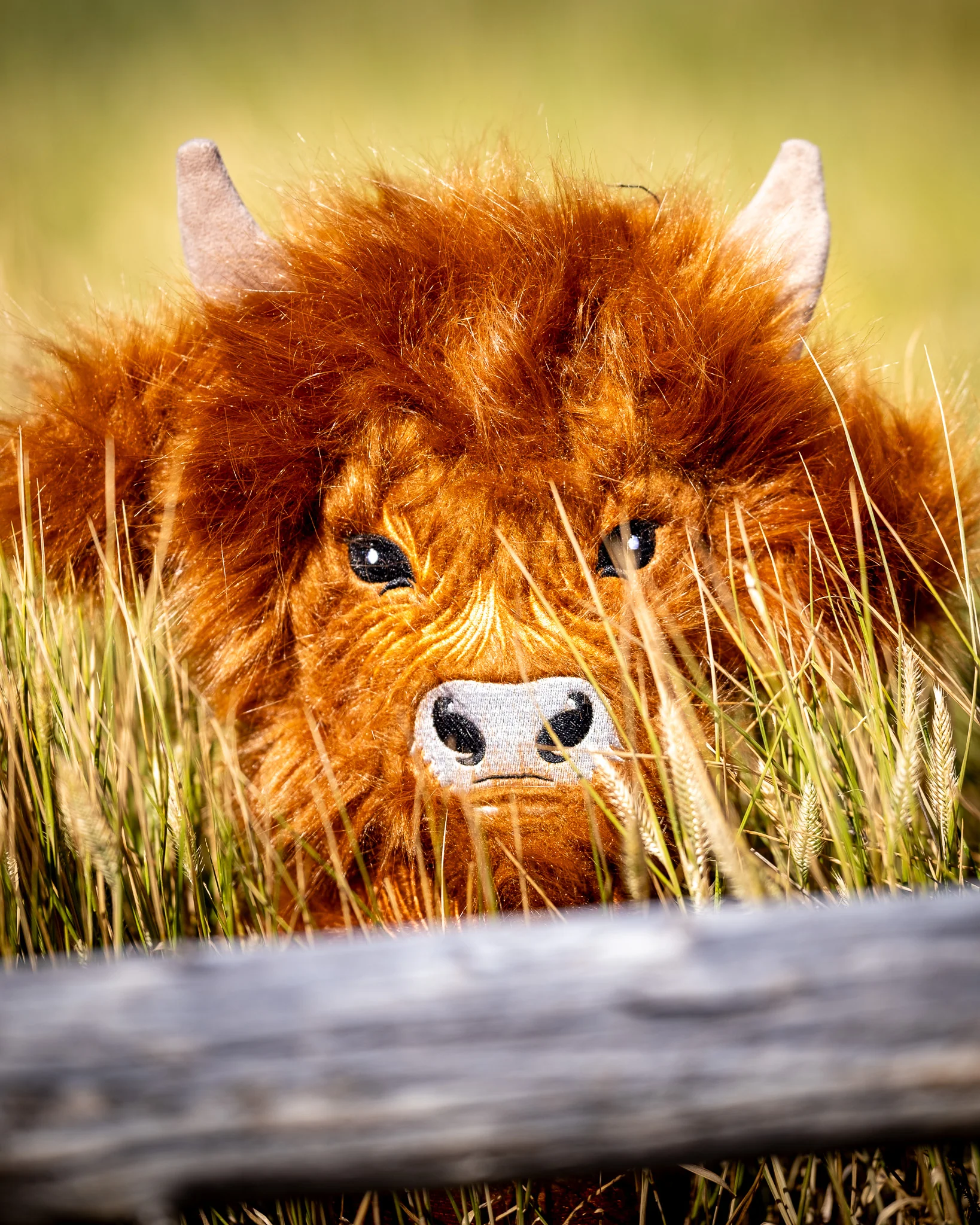Highland Cow - Driver Cover - Image 8