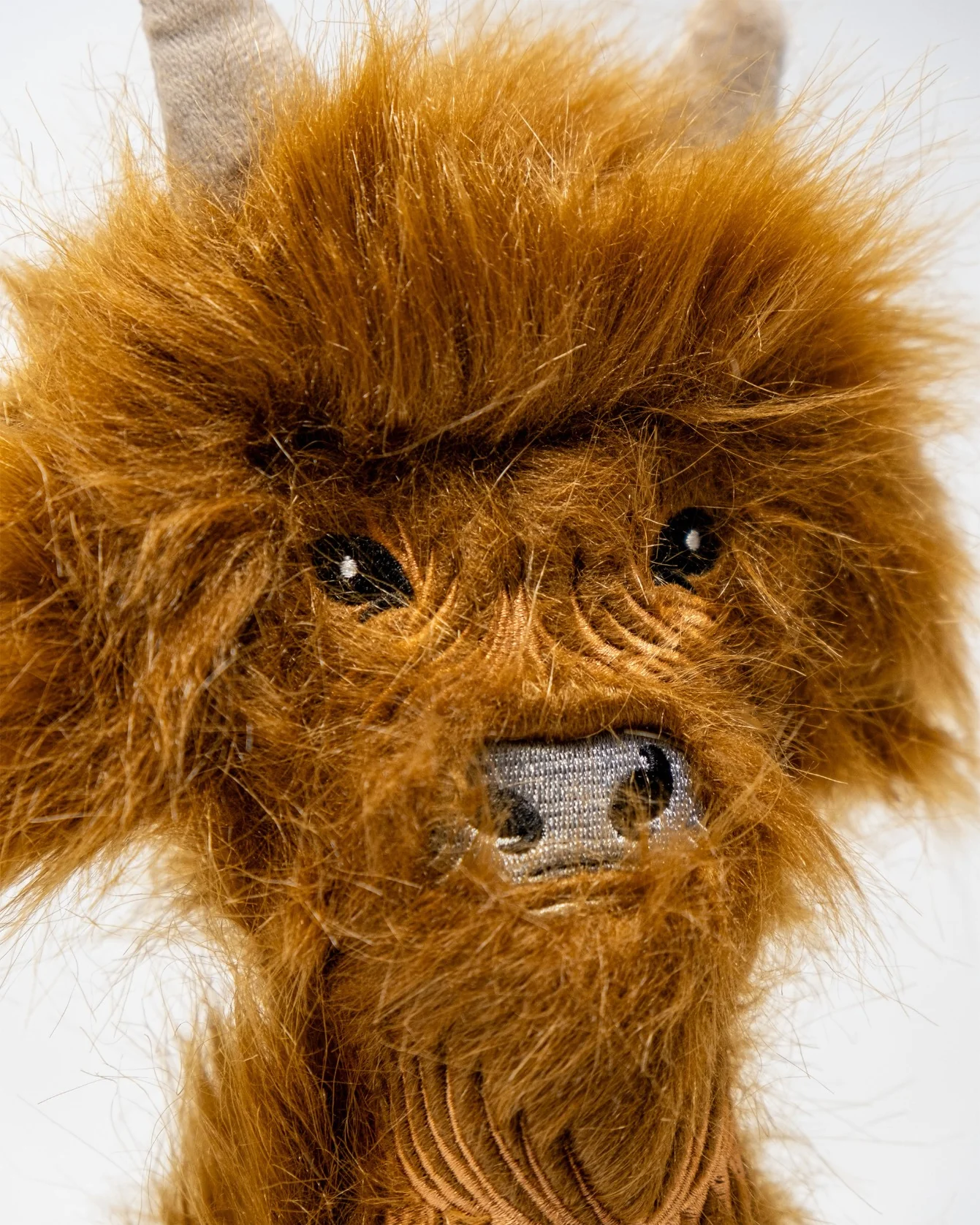 Highland Cow - Hybrid Cover - Image 4