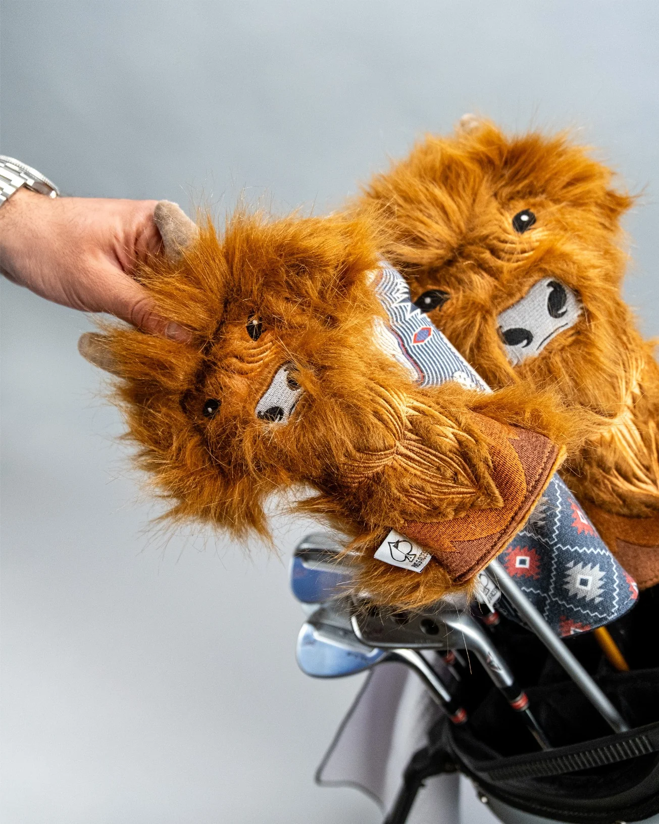 Highland Cow - Hybrid Cover - Image 7