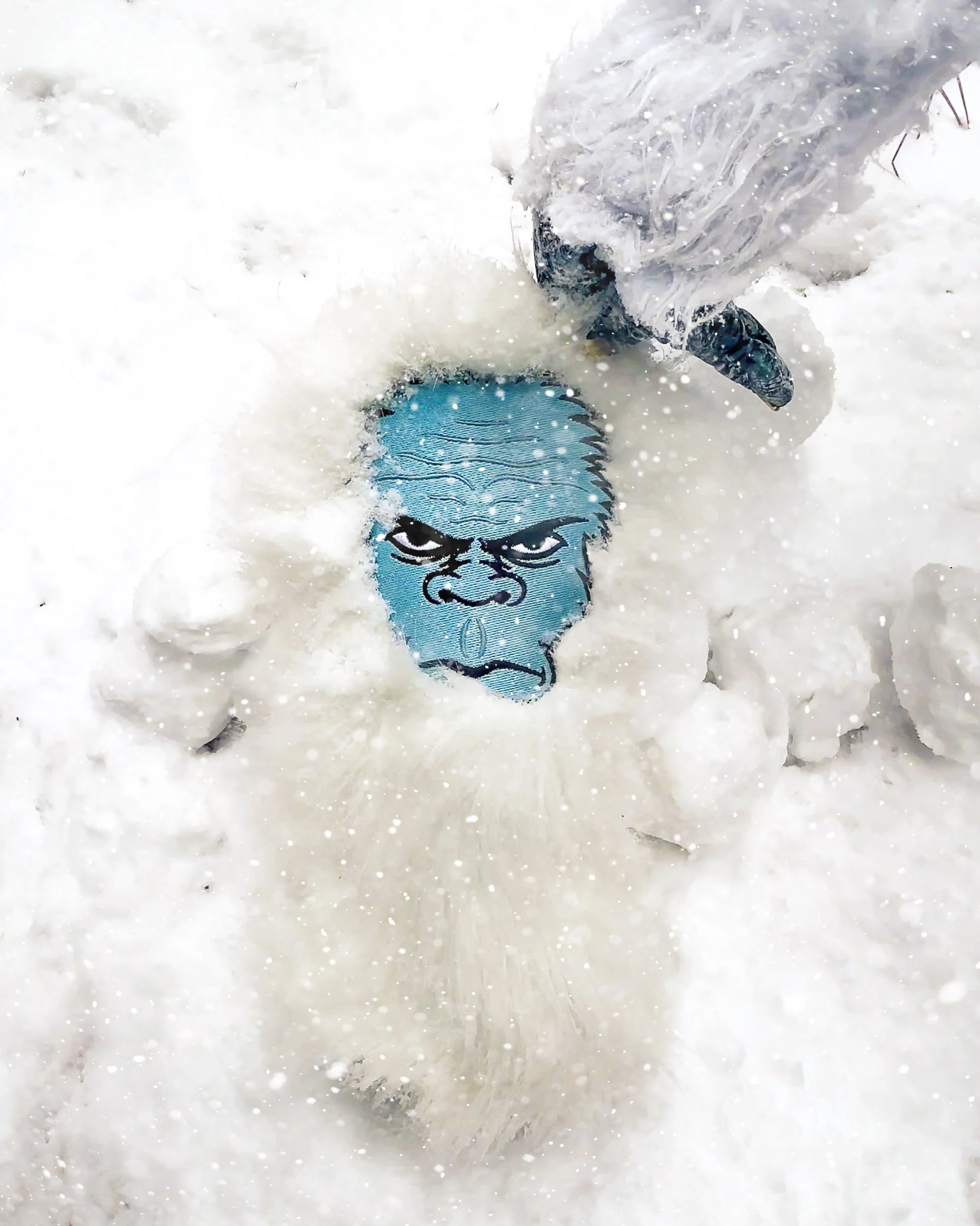Yeti - Driver Cover - Image 3